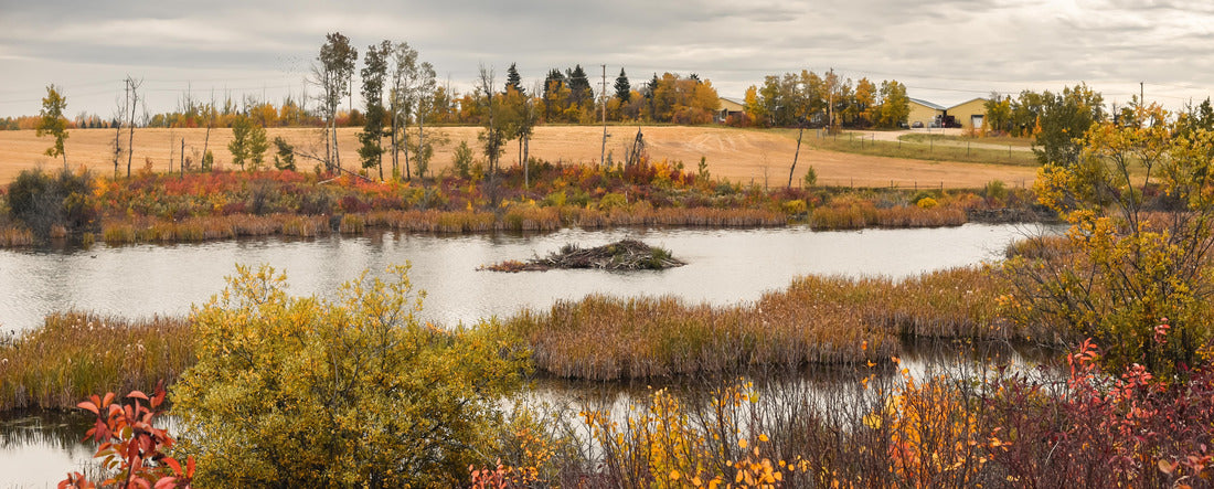 Biebach and beer lodge in the fall in Kuhnen Park, Alberta 2000pc Panoramic Puzzle