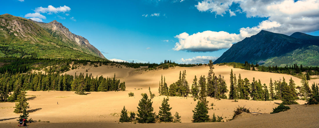 Carcross Desert in Carcross, Yukon 2000pc Panoramic Puzzle