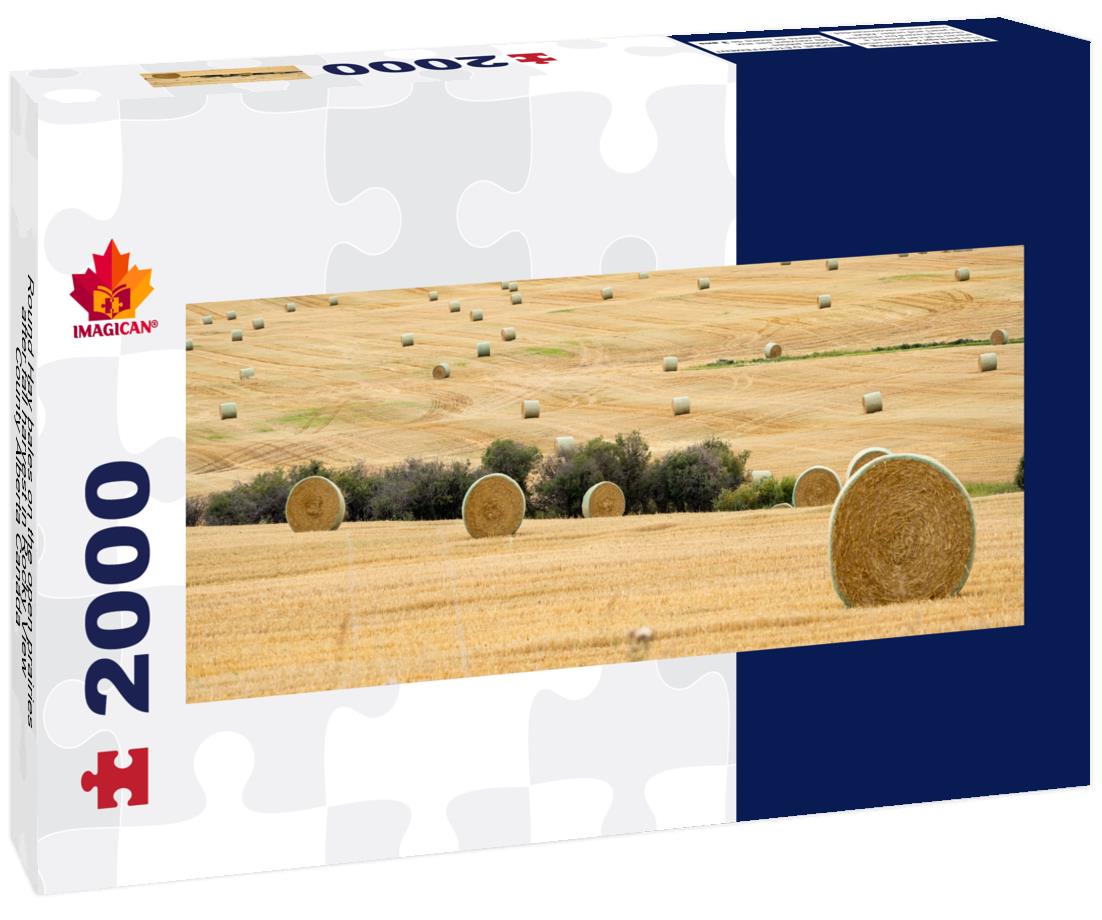 Round Hay bales after fall harvest in Rocky View County Alberta 2000pc Panoramic Puzzle