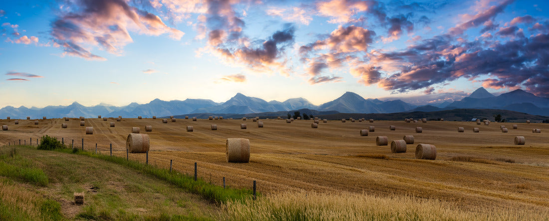 hay bales on a farm, near Pincher Creek, Alberta 2000pc Panoramic Puzzle