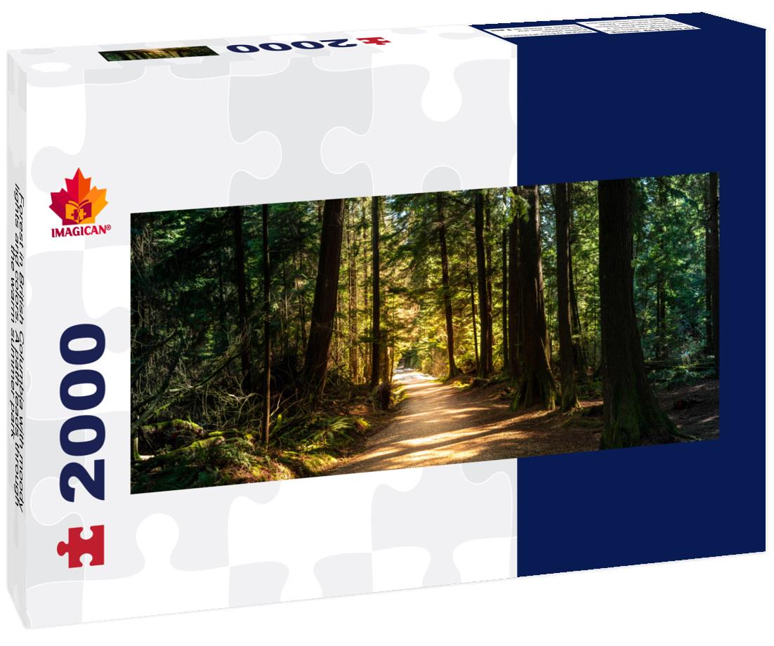 British Columbia forest with whimsical lights and colors 2000pc Panoramic Puzzle