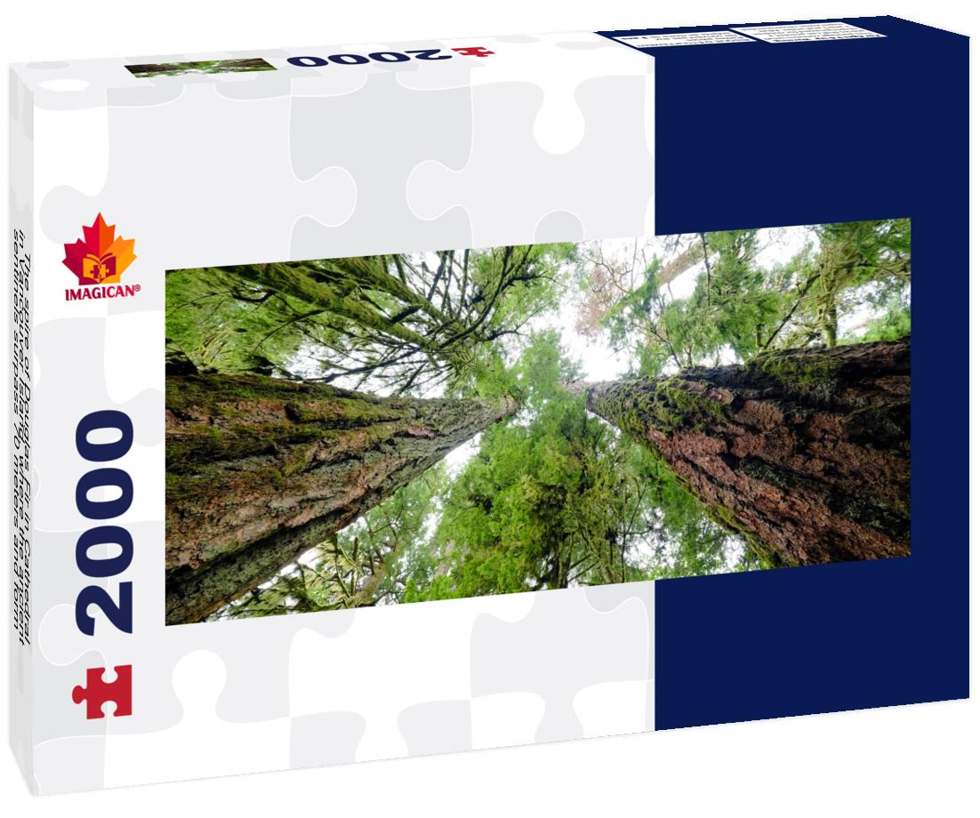Tower of Douglas Fir in the cathedral of Vancouver Island 2000pc Panoramic Puzzle
