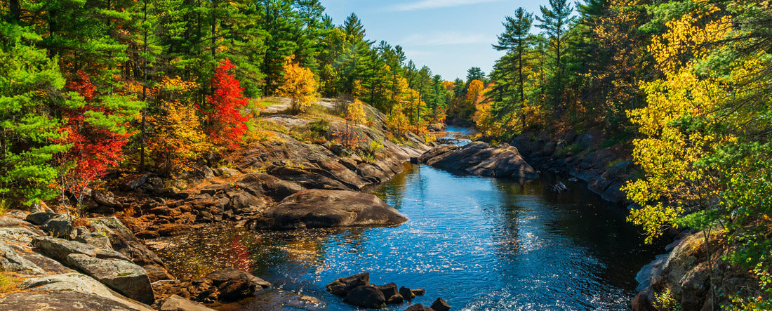 ImagiCan Jigsaw Puzzle Queen Elizabeth II Wildlands Provincial Park, Kawartha Lakes County Ontario 2000 pieces panorama