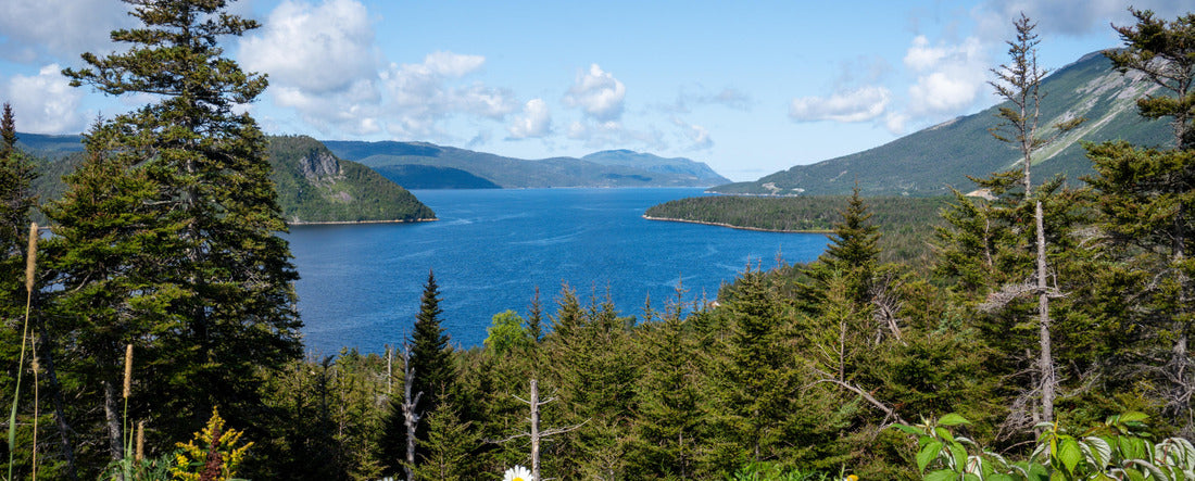 Gros Morne National Park 2000pc Panoramic Puzzle