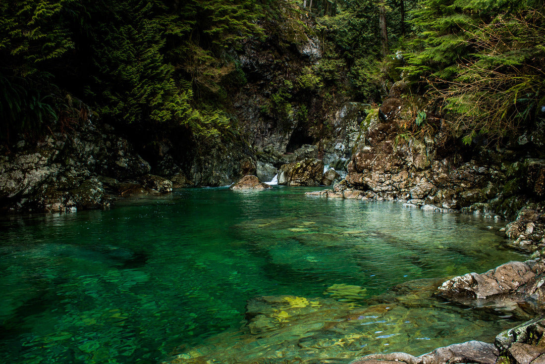 Lynn Canyon Vancouver 2000pc Puzzle