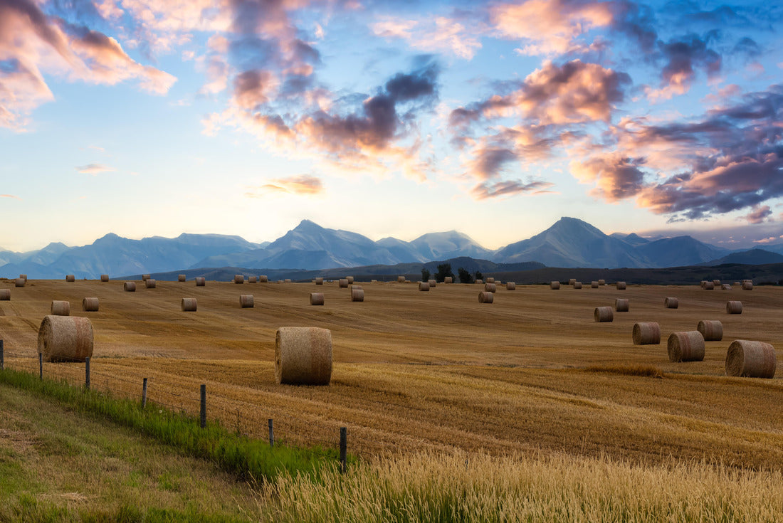 Near Pincher Creek, Alberta 2000pc Puzzle