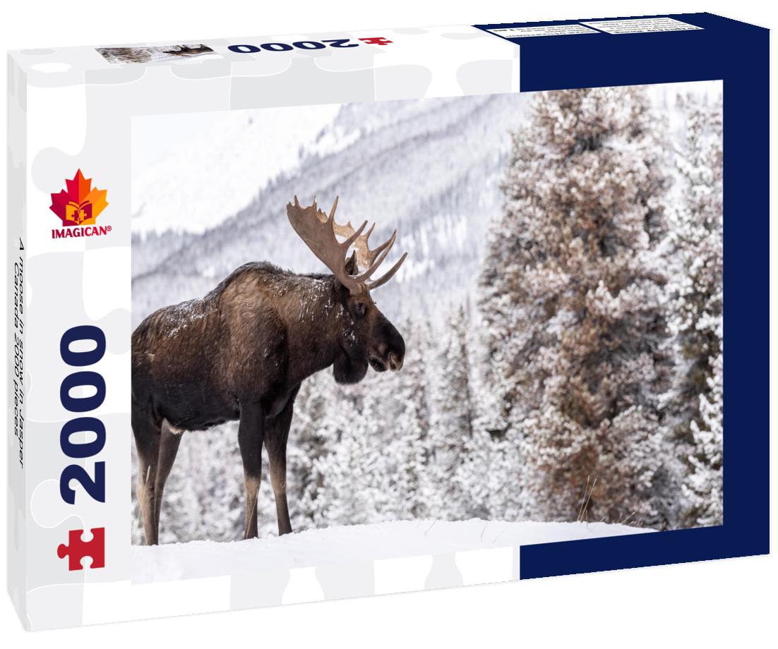 A moose in snow in Jasper Canada 2000pc Puzzle