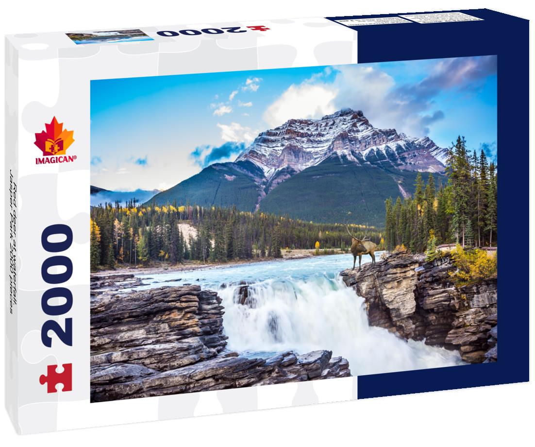 Red deer at waterfall. Jasper Park 2000pc Puzzle
