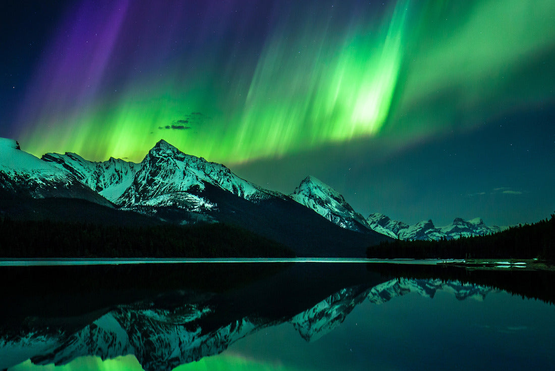 Northern Lights, Jasper National Park 2000pc Puzzle