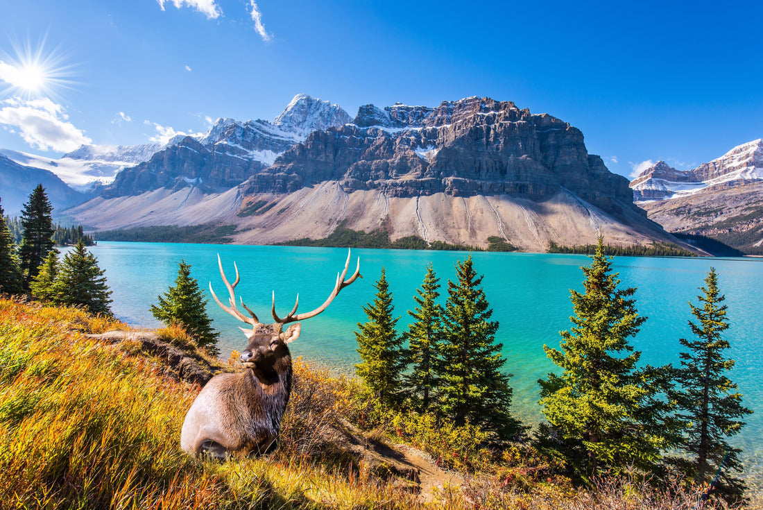 The majestic rocky mountain range of Canada 2000pc Puzzle