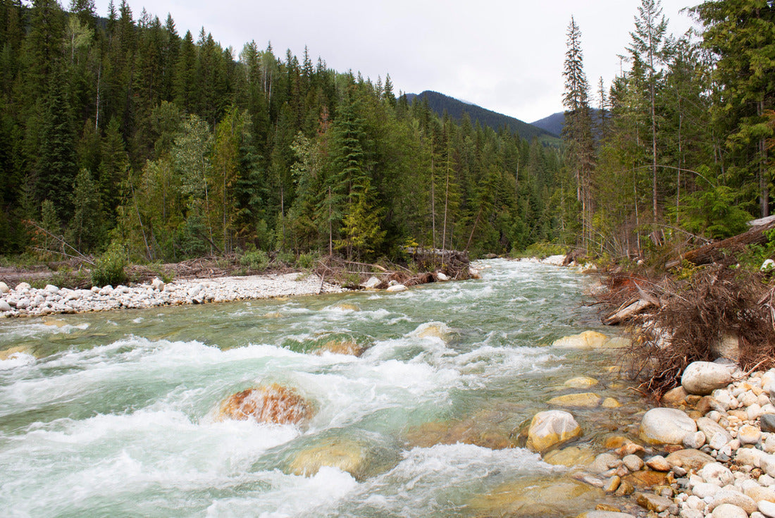 Rapids on a trail in Nakusp, British Columbia 2000pc Puzzle