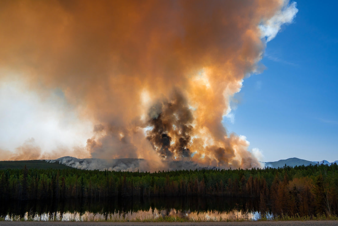 A forest fire has occurred in Yukon Territory 2000pc Puzzle