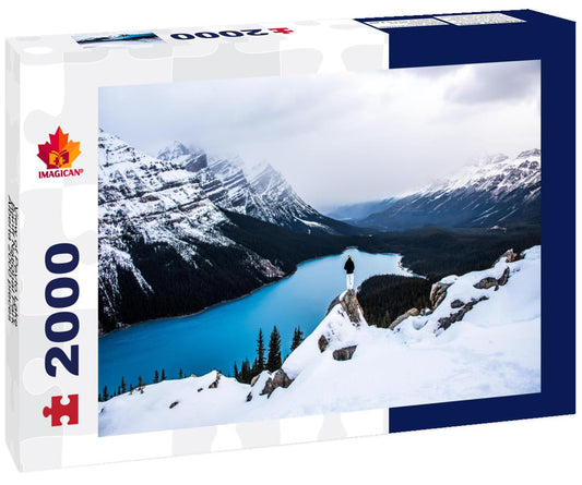 ImagiCan Jigsaw Puzzle View of Peyto Lake, Banff National Park, Alberta 2000 pieces
