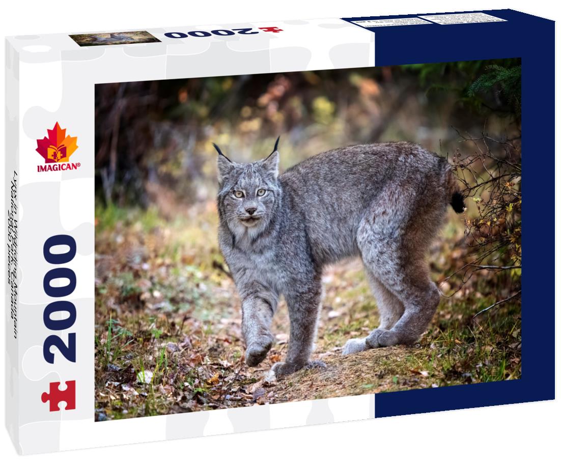 Lynx in Wildriding Mountain National Park, Canada 2000pc Puzzle