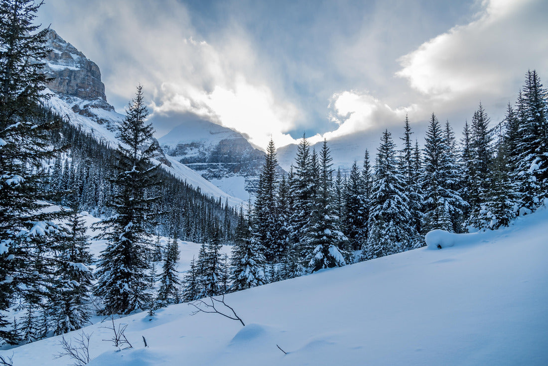 Lake Louise in Banff Park in winter, Alberta, Canada 2000pc Puzzle