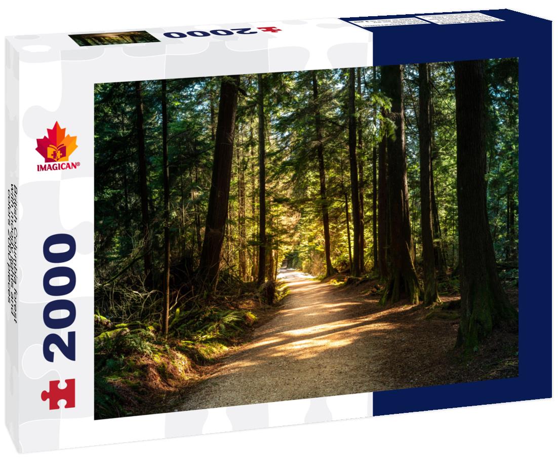 British Columbia forest with moody lights and colors 2000pc Puzzle