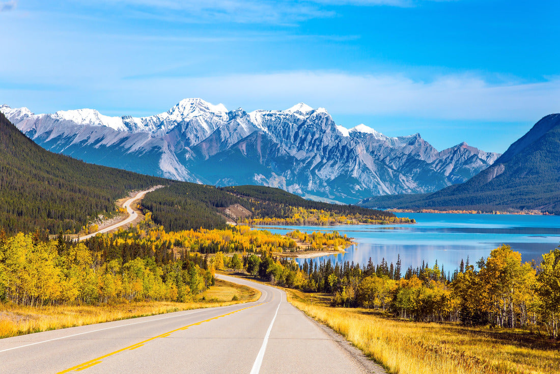 Highway leading to Abraham Lake in the Canadian Rockies 2000pc Puzzle