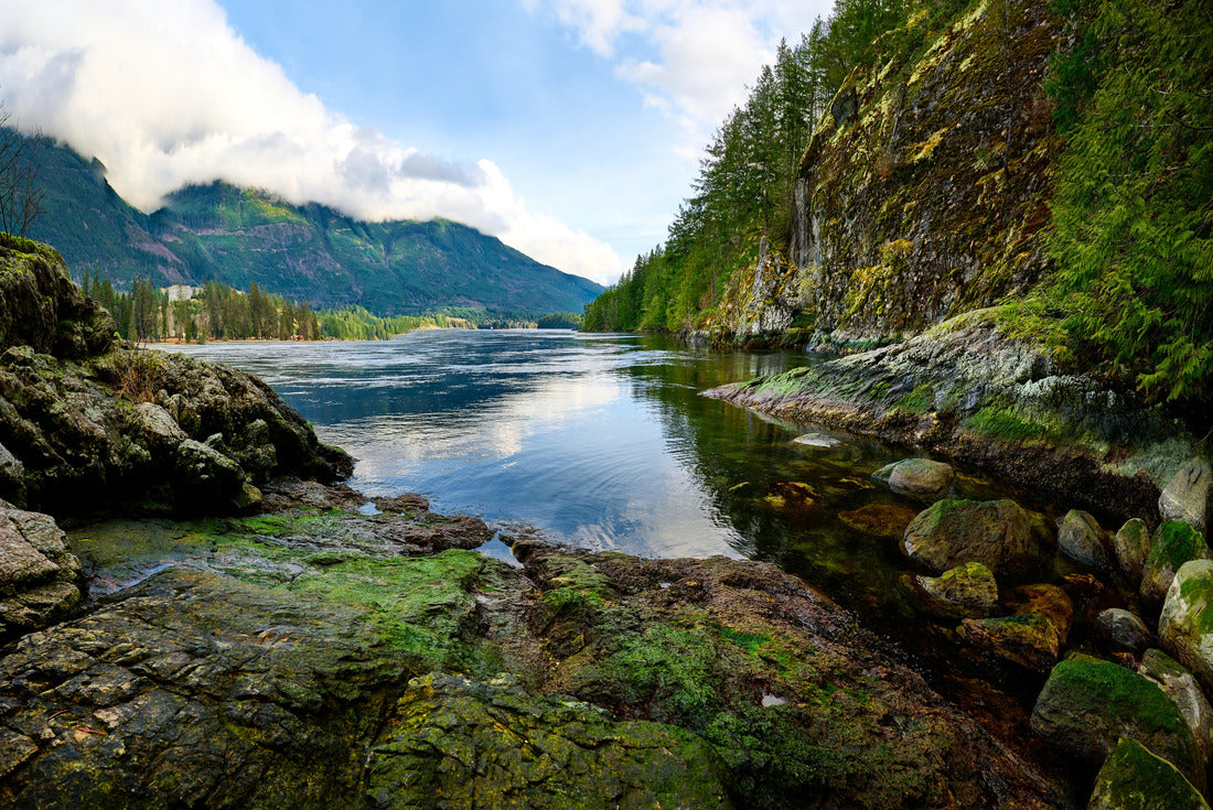Rocky shores and coniferous forest. Skookumchuck Rapids 2000pc Puzzle