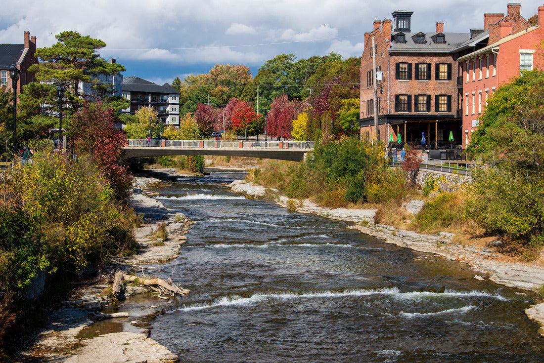 ImagiCan Jigsaw Puzzle Salmon run in the Ganaraska River. Port Hope, ON. Canada 2000 pieces
