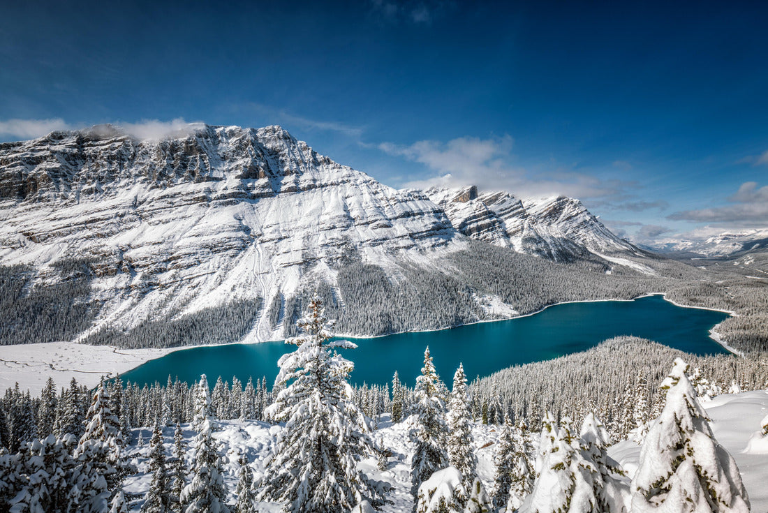 Peyto Lake with reflection in Banff National Park, Canada 2000pc Puzzle