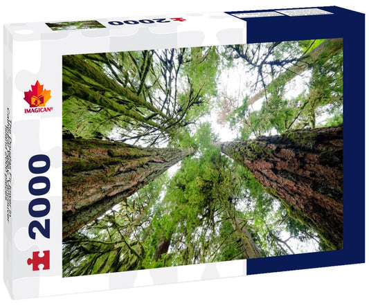 ImagiCan Jigsaw Puzzle The Douglas Fir tower in Cathedral Valley, Vancouver Island 2000 pieces