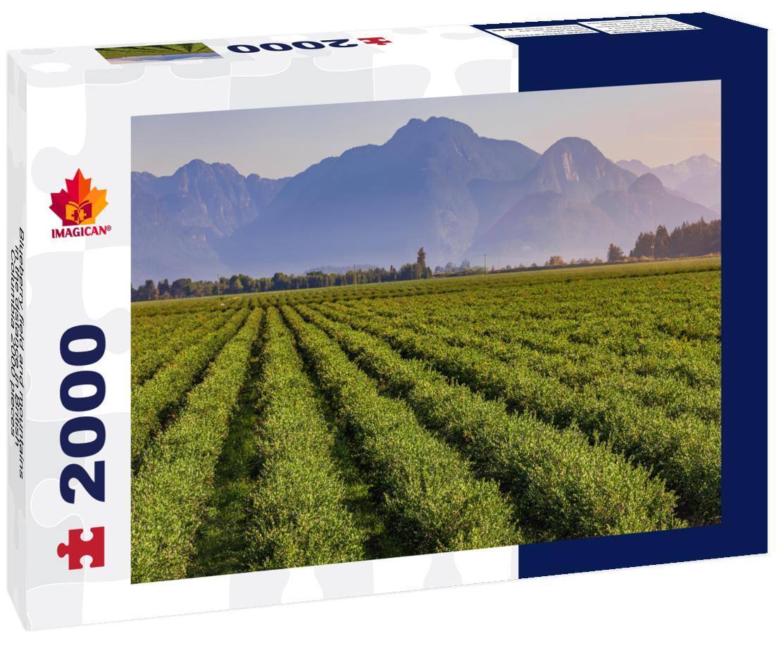 Blueberry field and mountains in the distance in British Columbia 2000pc Puzzle