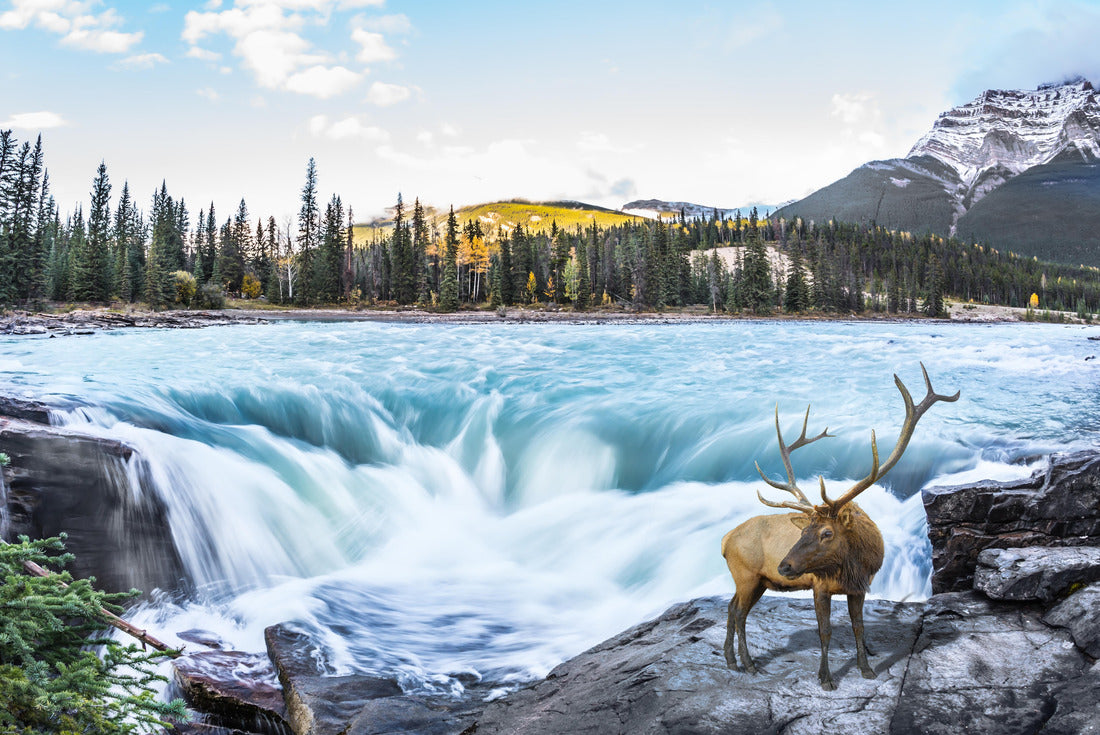 The waters of a melting mountain glacier feed the spiritual Athabasca Falls 2000pc Puzzle