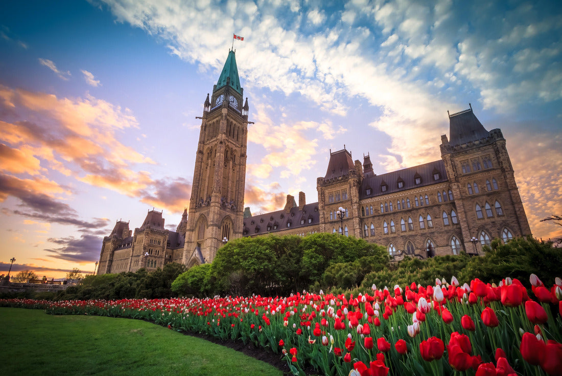 the Canadian Parliament building in Ottawa during the Tulip Festival 2000pc Puzzle