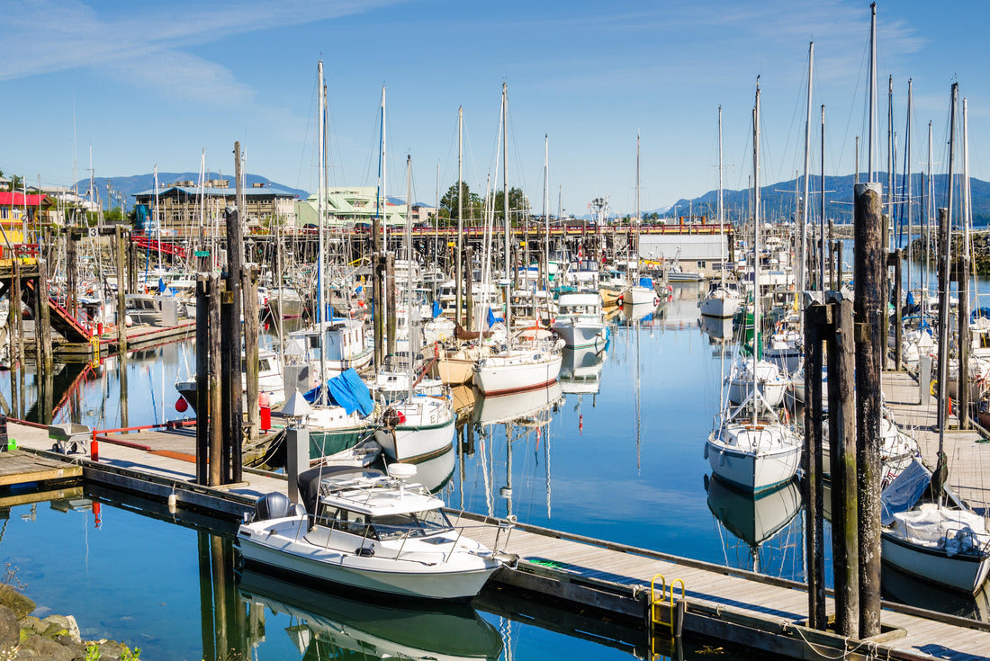 Campbell River Harbour on a Clear Summer Morning. Vancouver Island, BC, Canada 2000pc Puzzle