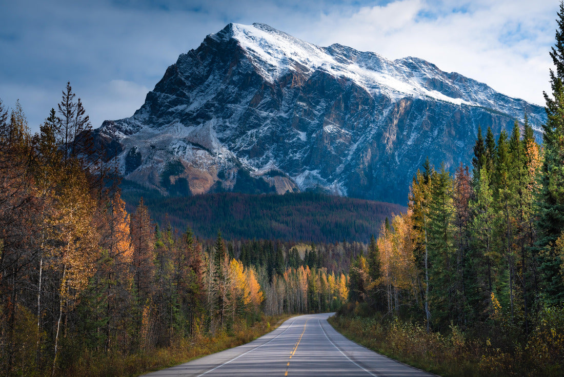 Morning on the way to Jasper, Alberta during the fall season with changing colors 2000pc Puzzle
