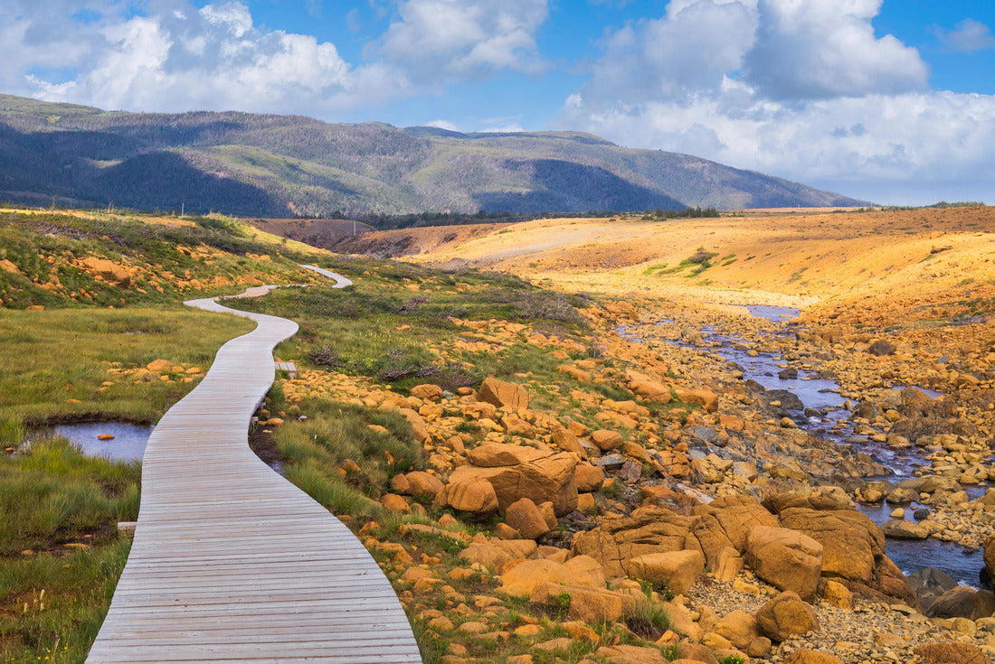 Boardwalk on Tablelands Trail, Gros Morne National Park, Newfoundland and Labrador 2000pc Puzzle