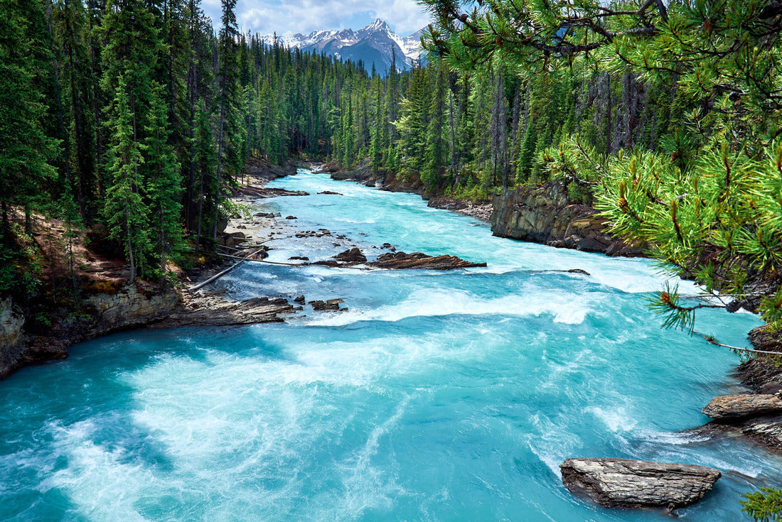 ImagiCan Jigsaw Puzzle Mountain Kicking Horse River in evergreen forest, Yoho National Park, British Columbia 2000 pieces