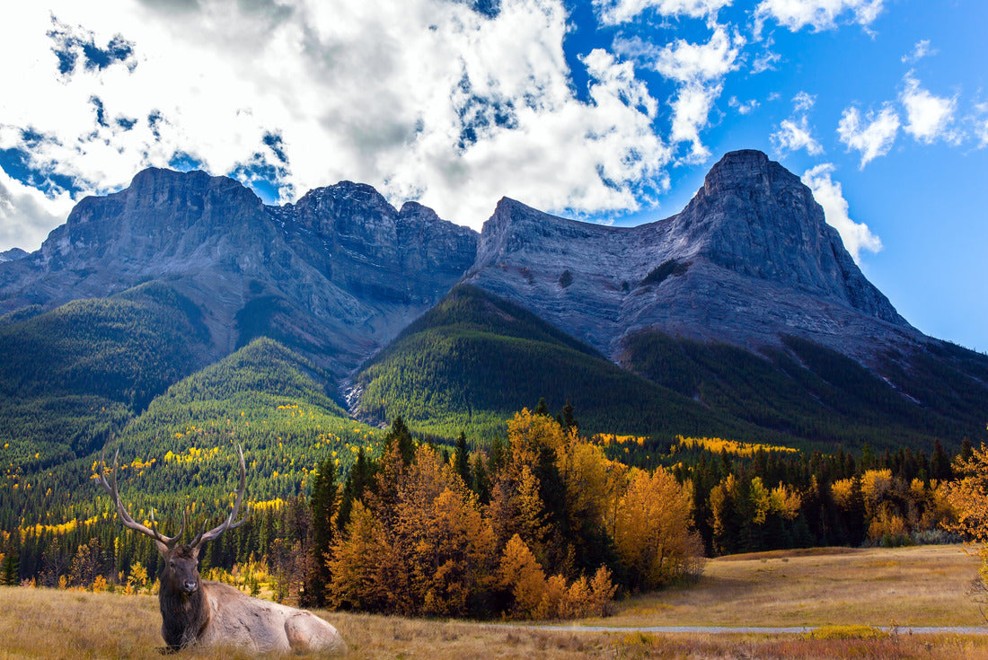 The town of Canmore is surrounded by the Rocky Mountains 2000pc Puzzle
