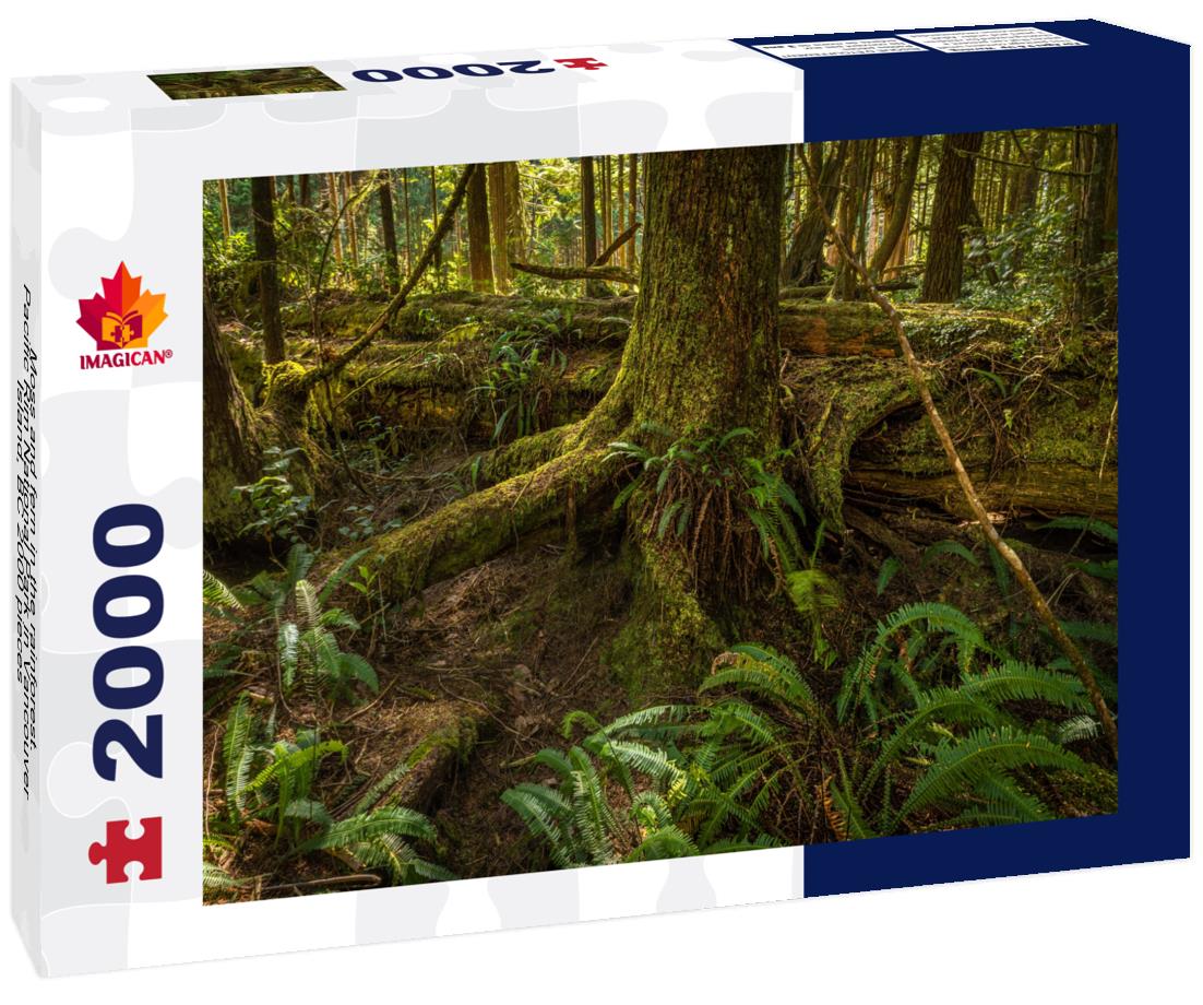 Moss and fern in the rainforest. Pacific Rim National Park in Vancouver Island, BC 2000pc Puzzle
