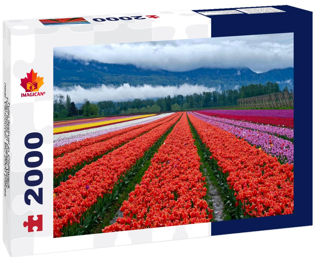 Tulip festival in Chilliwack, Tulip fields in Fraser Valley near Vancouver, BC 2000pc Puzzle