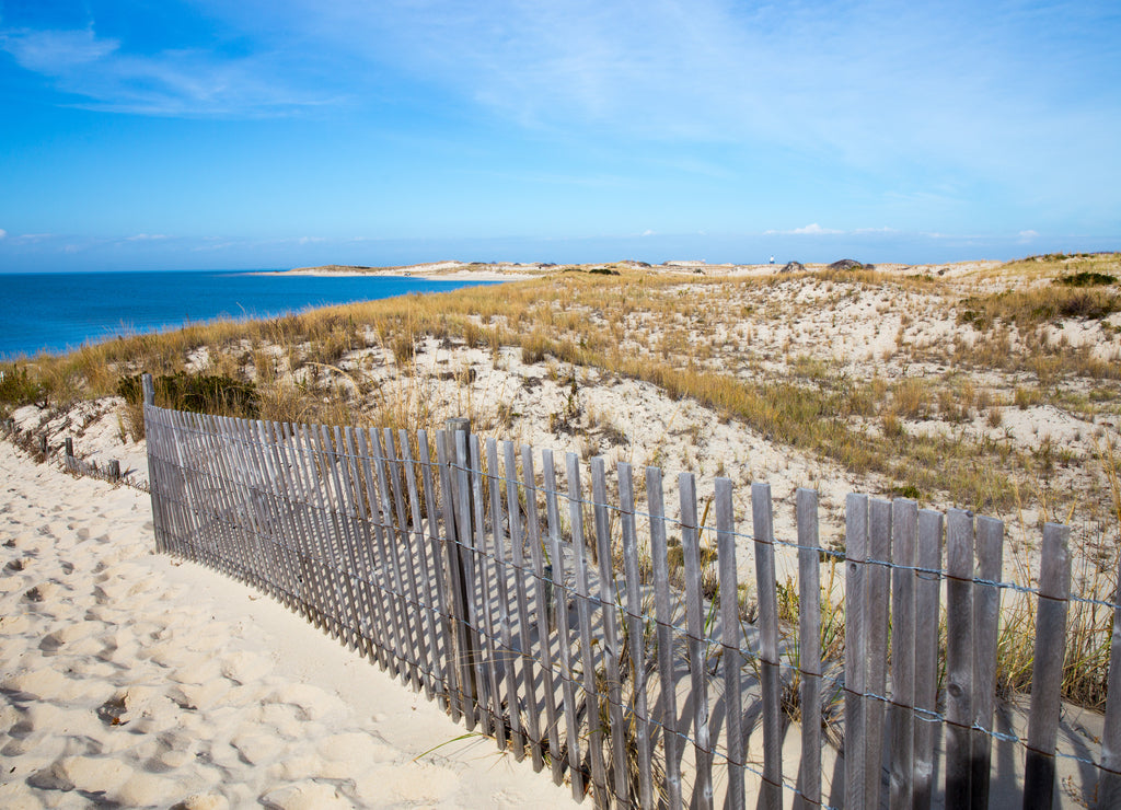 View Across the Dunes of the Delaware Bay at Cape Henlopen in Lewes, Delaware, Sussex County, USA