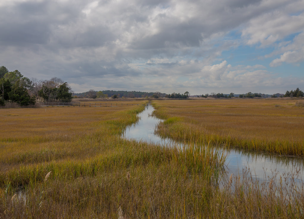 coastal marsh view along the atlantic ocean in lewes sussex country in southern delaware usa