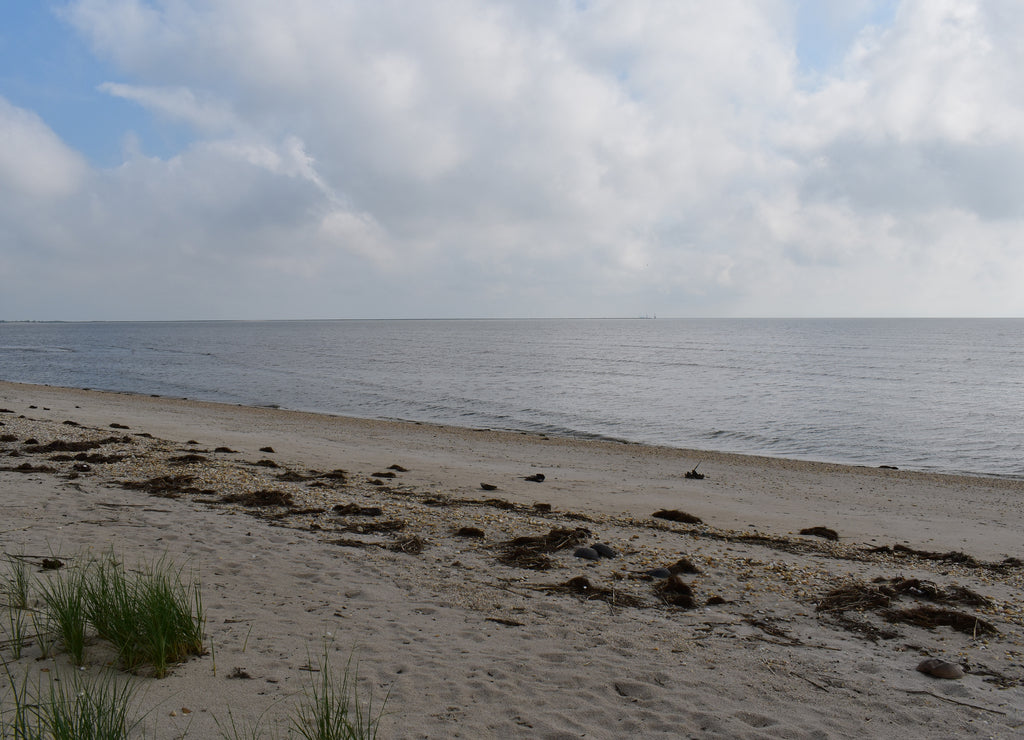 Early morning at the beach, Slaughter Beach, Delaware, looking out onto the ocean