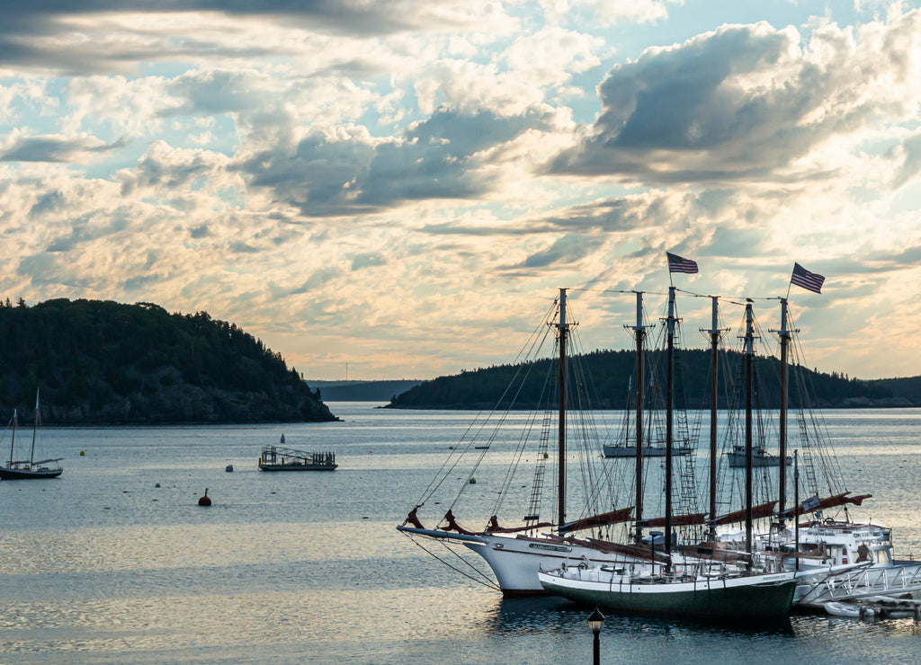 Sailboats docked on pier in early morning, Bar Harbor Maine