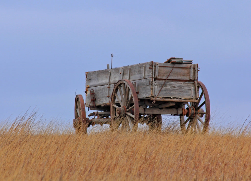 old wood wagon in a farm field with prairie grass and blue sky in Barber County Kansas