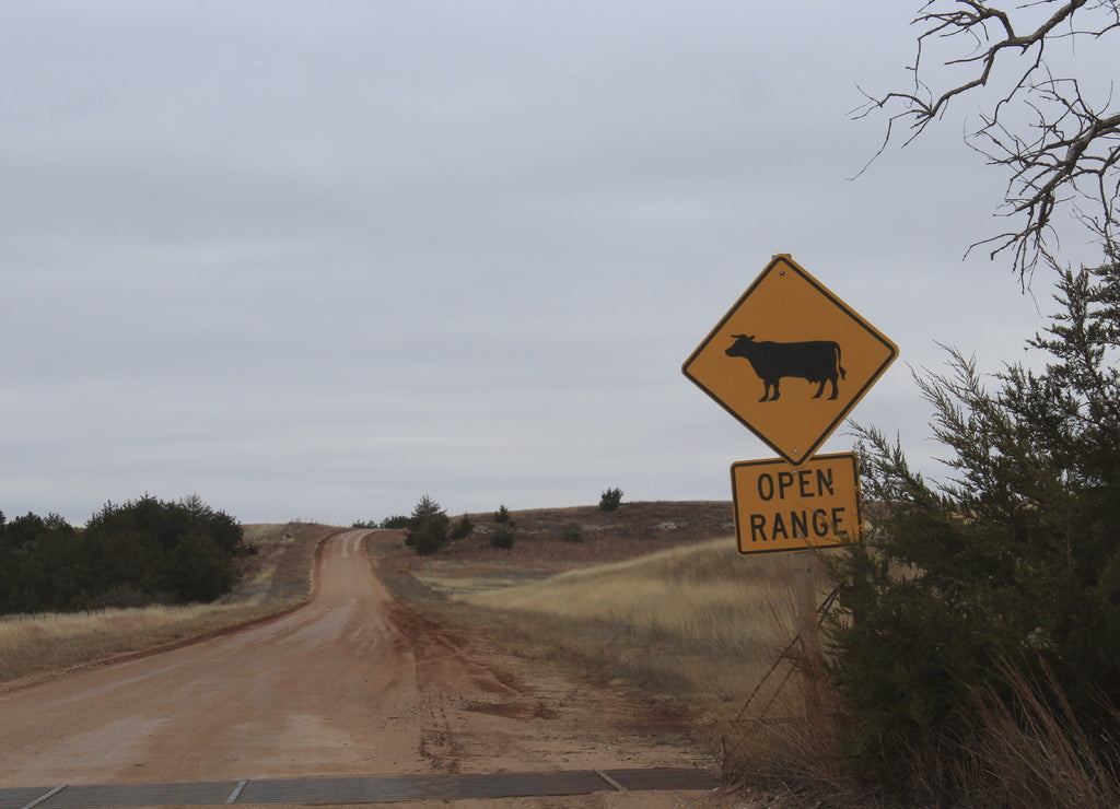 Open Range cattle sign in Barber County in Kansas out in the country