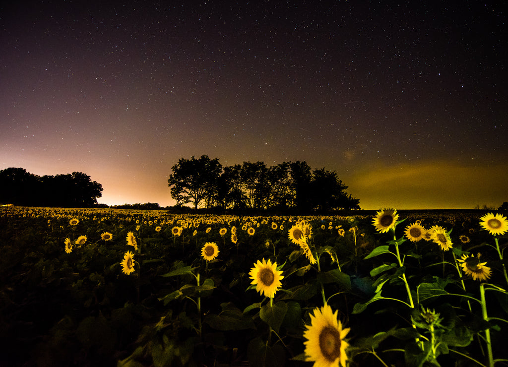 The Milky Way and other stars over Grinter's Farm - Lawrence, Kansas