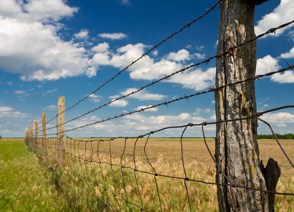 Barbed wire fence in Kansas pasture field