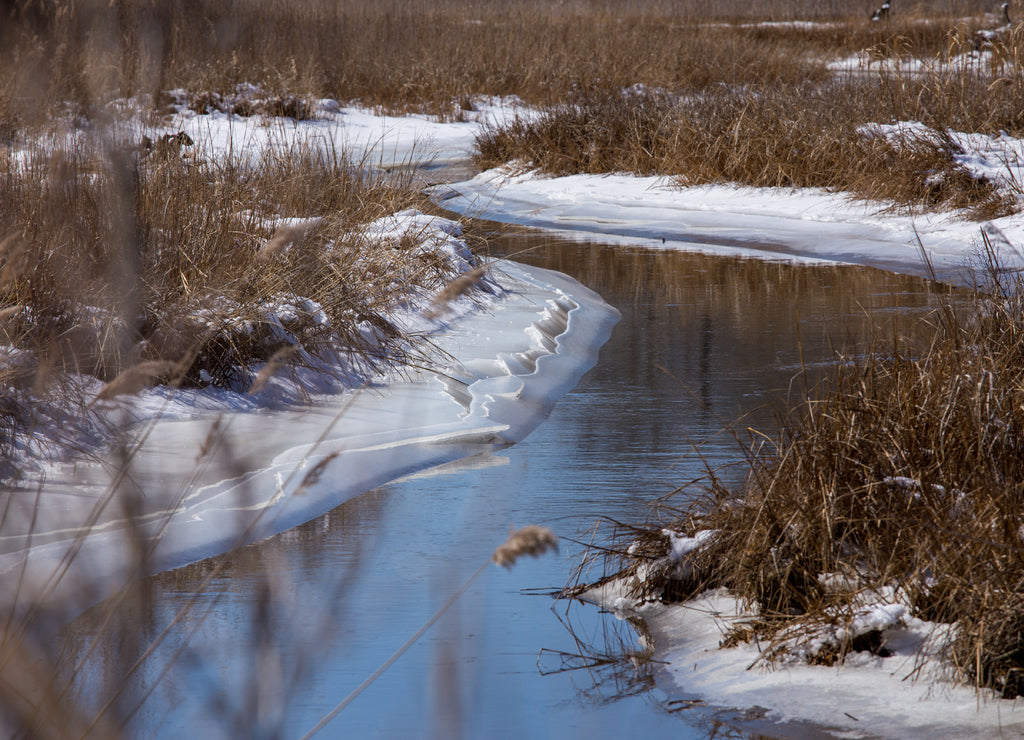 view of fishing creek in winter along the chesapeake bay in southern maryland calvert county USA