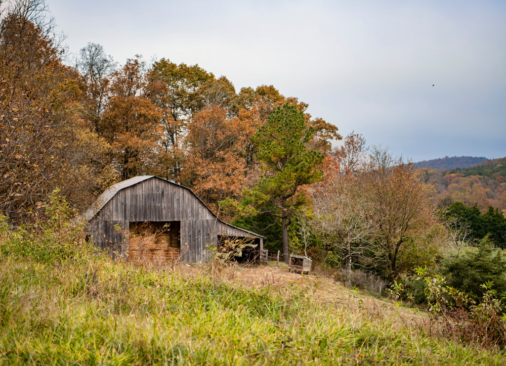 Rustic Rural Scene in the Ozarks of Arkansas in Autumn