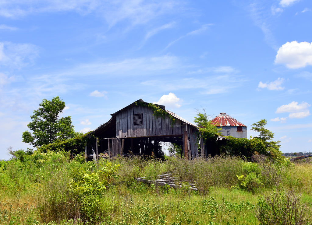 Overgrown Wooden Barn in Arkansas