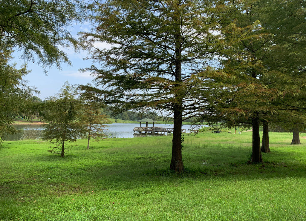 Beautiful trees and parkland by a lake in western Arkansas