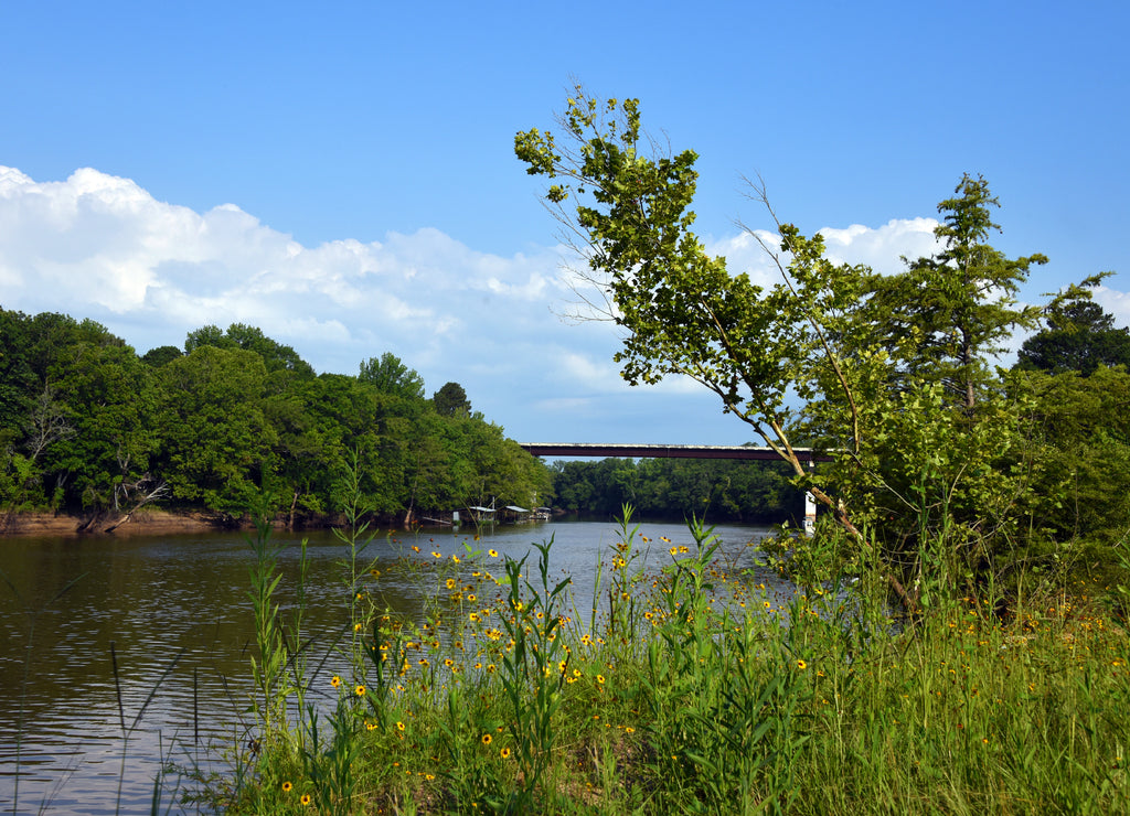 Ouachita River Bridge and Landscape, Arkansas