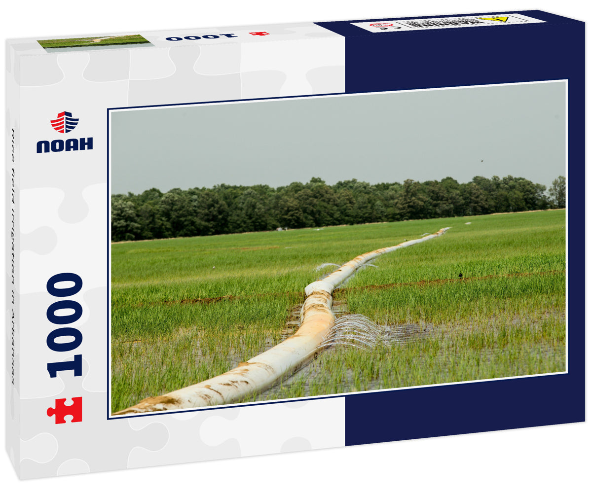 Rice field irrigation in Arkansas