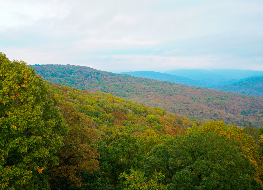 View of the Ozark National Forest along the Boston Mountains Scenic Loop byway in Arkansas